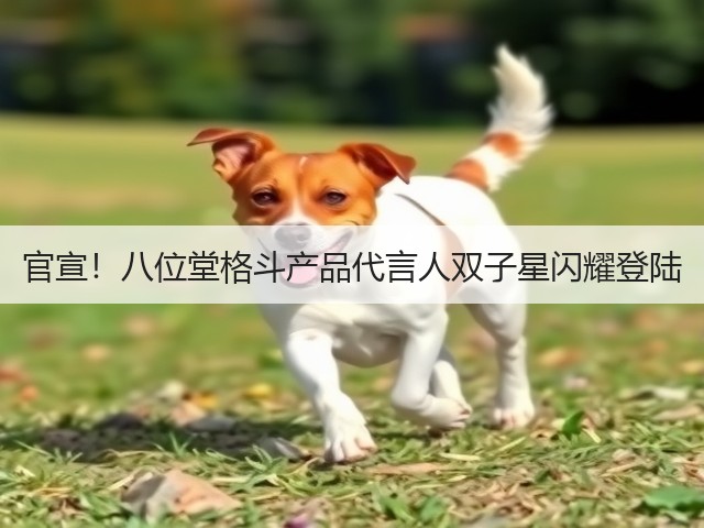 官宣!八位堂格斗产品代言人双子星闪耀登陆(图1) 官宣!八位堂格斗产品代言人双子星闪耀登陆(图1)