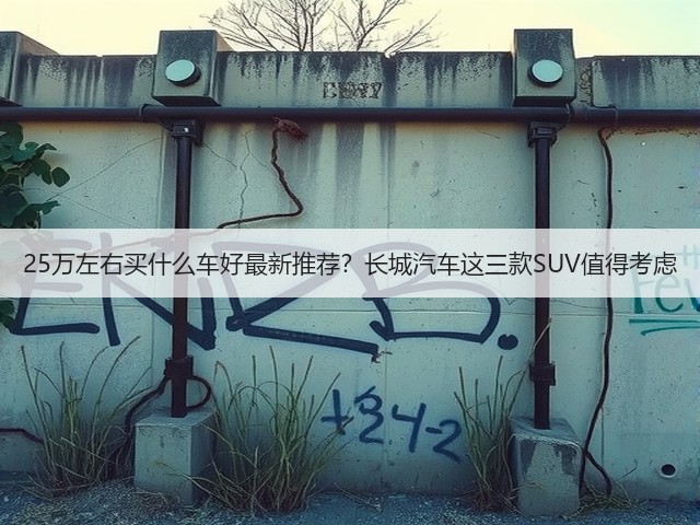 25万左右买什么车好最新推荐？长城汽车这三款SUV值得考虑(图1)
