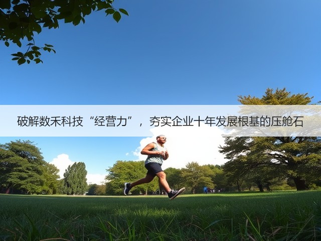 破解数禾科技“经营力”,夯实企业十年发展根基的压舱石(图2) 破解数禾科技“经营力”,夯实企业十年发展根基的压舱石(图2)