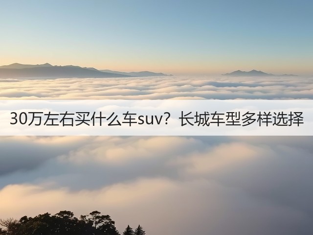 30万左右买什么车suv？长城车型多样选择(图3)