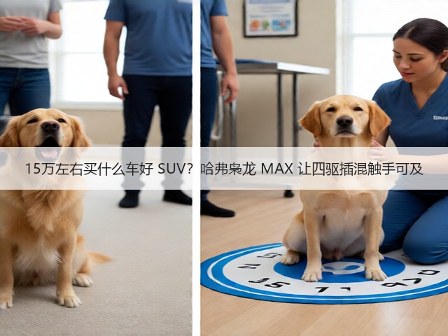 15万左右买什么车好 SUV？哈弗枭龙 MAX 让四驱插混触手可及(图3)