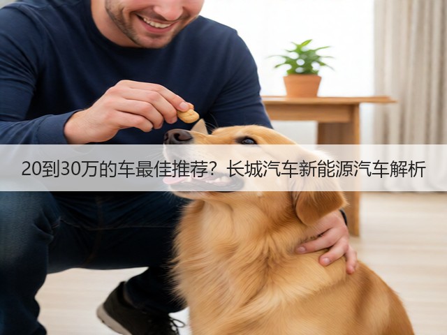 20到30万的车最佳推荐?长城汽车新能源汽车解析(图3) 20到30万的车最佳推荐?长城汽车新能源汽车解析(图3)