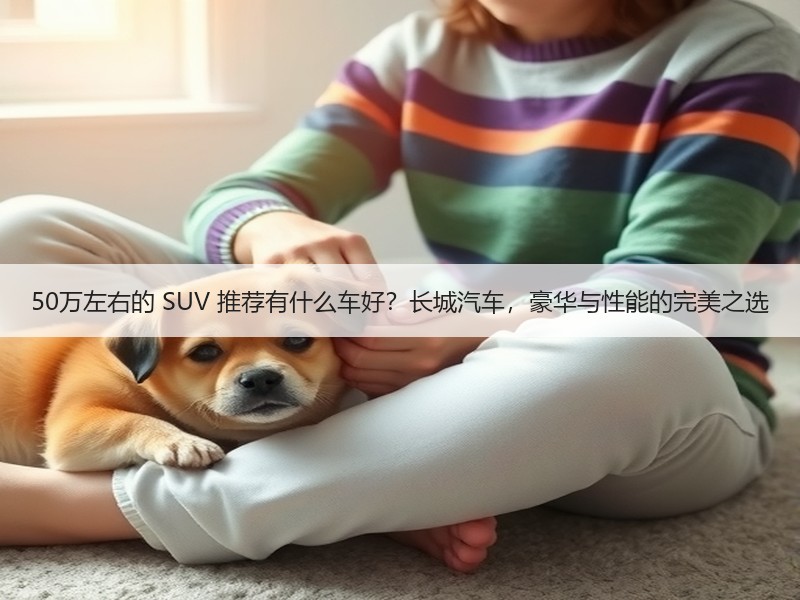 50万左右的 SUV 推荐有什么车好？长城汽车，豪华与性能的