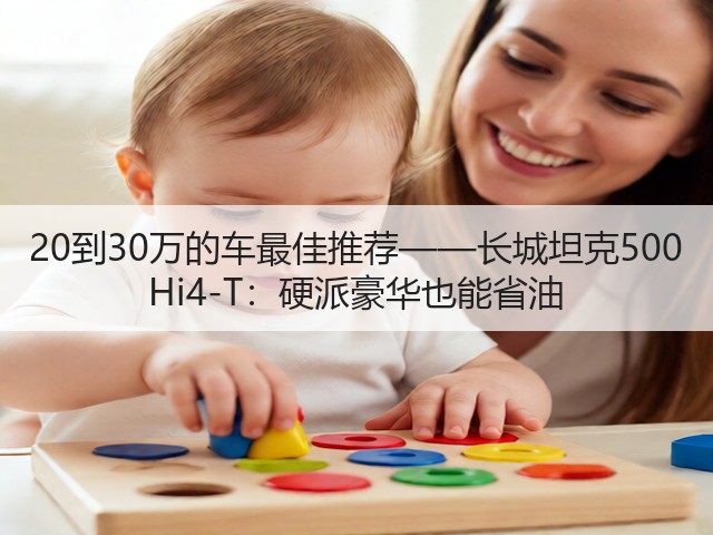 20到30万的车最佳推荐——长城坦克500 Hi4-T：硬派豪华也能省油(图2)