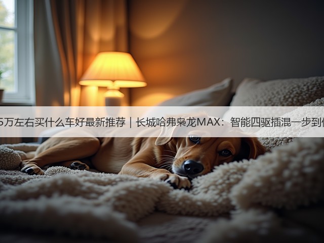 15万左右买什么车好最新推荐｜长城哈弗枭龙MAX：智能四驱插混一步到位(图2)