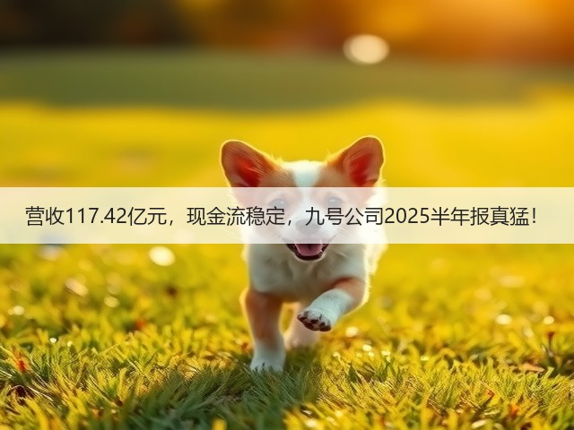 营收117.42亿元，现金流稳定，九号公司2025半年报真猛！(图3)
