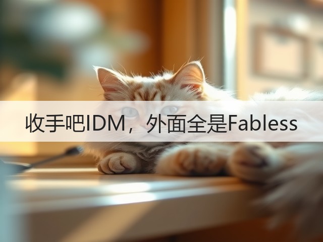 收手吧IDM,外面全是Fabless(图3) 收手吧IDM,外面全是Fabless(图3)