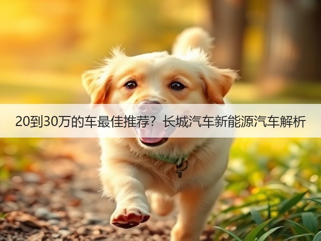 20到30万的车最佳推荐?长城汽车新能源汽车解析(图1) 20到30万的车最佳推荐?长城汽车新能源汽车解析(图1)
