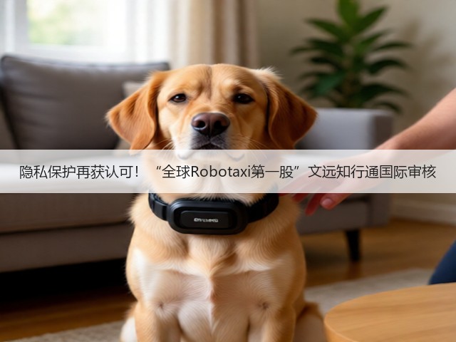隐私保护再获认可！“全球Robotaxi第一股”文远知行通国际审核(图2)