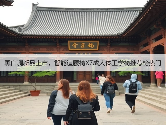 黑白调新品上市,智能追腰椅X7成人体工学椅推荐榜热门(图3) 黑白调新品上市,智能追腰椅X7成人体工学椅推荐榜热门(图3)