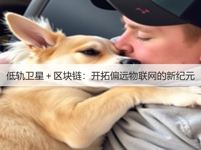 低轨卫星＋区块链：开拓偏远物联网的新纪元(图2)