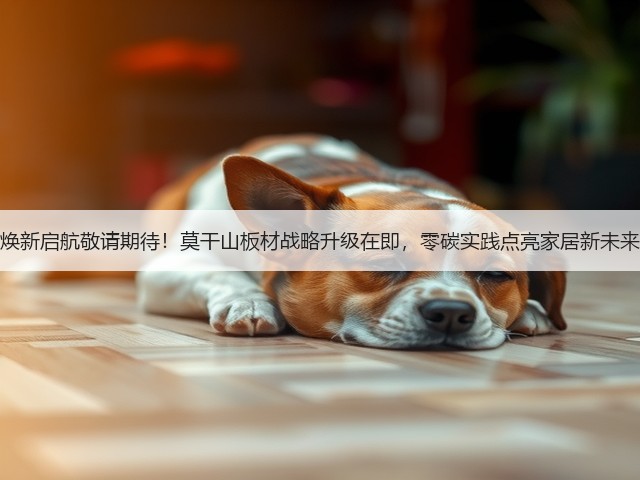 焕新启航敬请期待！莫干山板材战略升级在即，零碳实践点亮家居新未来(图3)