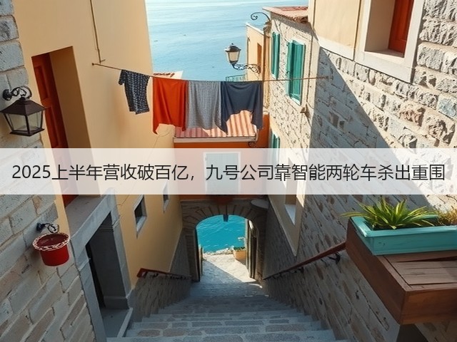 2025上半年营收破百亿，九号公司靠智能两轮车杀出重围(图1)