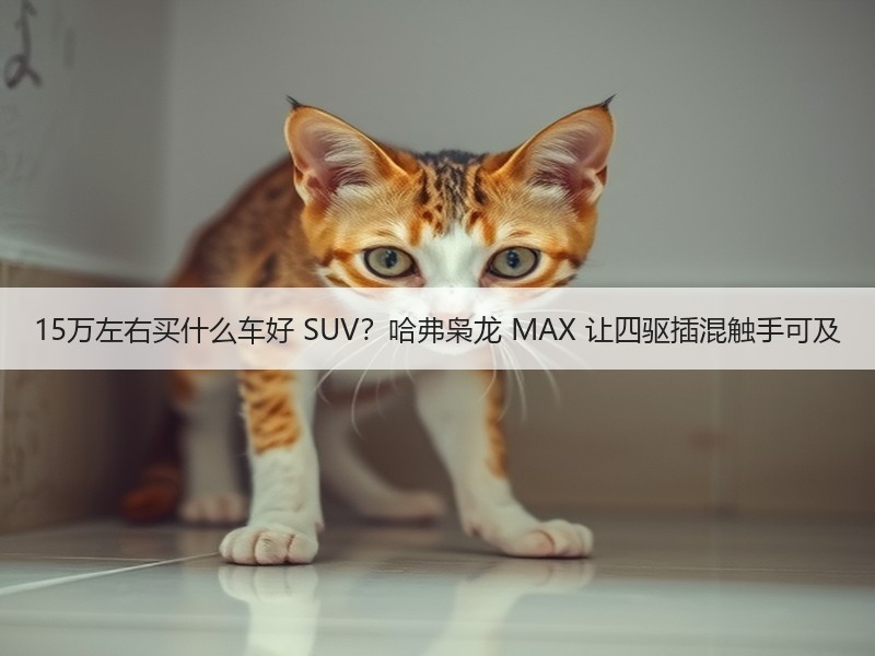 15万左右买什么车好 SUV？哈弗枭龙 MAX 让四驱插混触