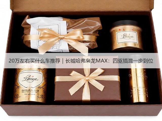 20万左右买什么车推荐｜长城哈弗枭龙MAX：四驱插混一步到位(图2)