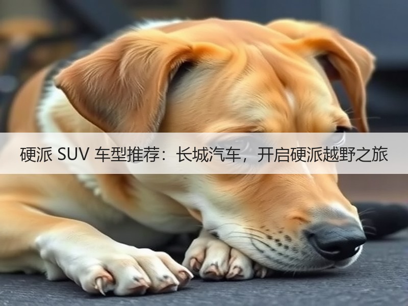 硬派 SUV 车型推荐：长城汽车，开启硬派越野之旅