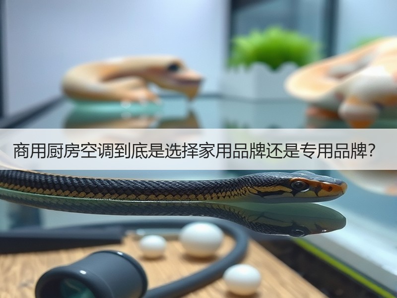 商用厨房空调到底是选择家用品牌还是专用品牌？