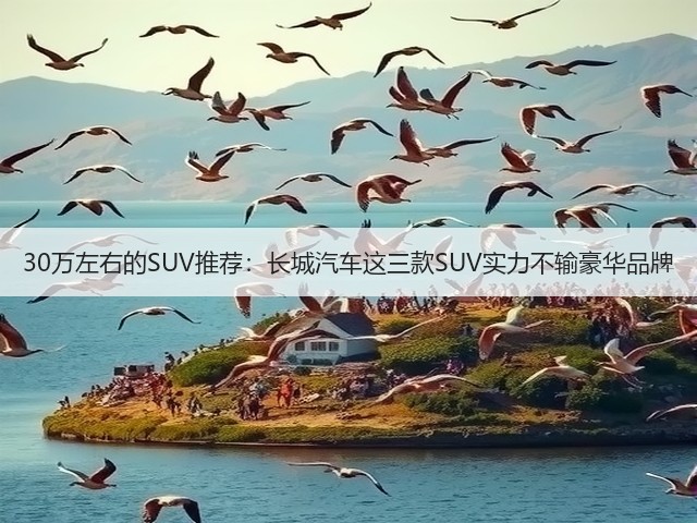 30万左右的SUV推荐：长城汽车这三款SUV实力不输豪华品牌(图3)