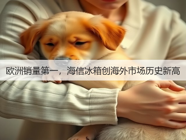 欧洲销量第一,海信冰箱创海外市场历史新高(图1) 欧洲销量第一,海信冰箱创海外市场历史新高(图1)