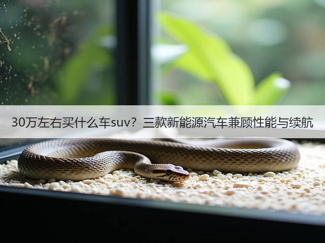 30万左右买什么车suv?三款新能源汽车兼顾性能与续航(图3) 30万左右买什么车suv?三款新能源汽车兼顾性能与续航(图3)
