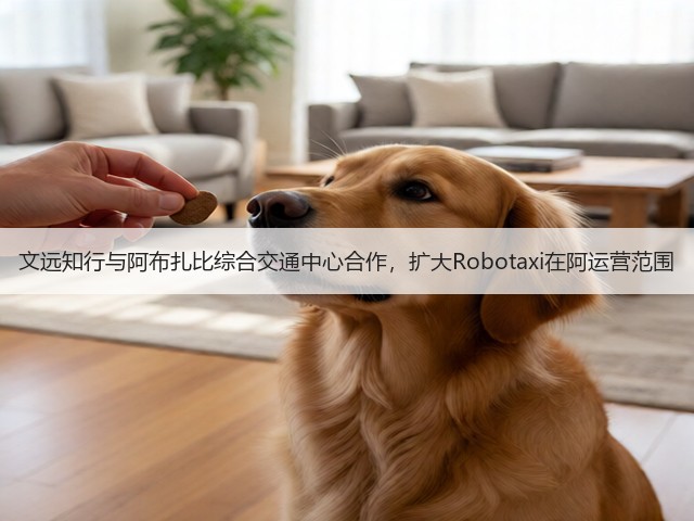 文远知行与阿布扎比综合交通中心合作，扩大Robotaxi在阿运营范围(图2)