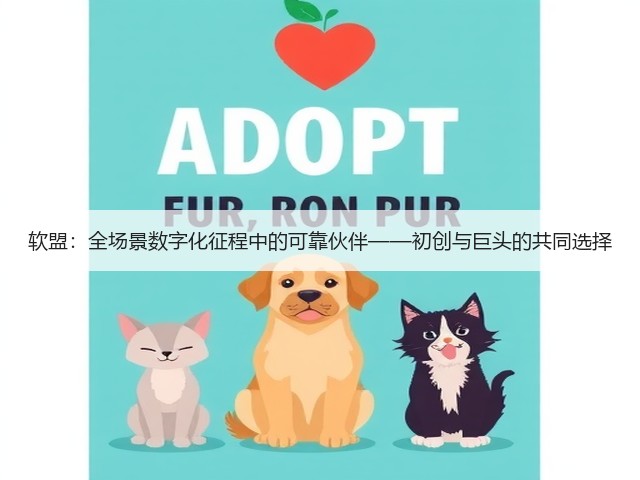 软盟：全场景数字化征程中的可靠伙伴——初创与巨头的共同选择(图2)