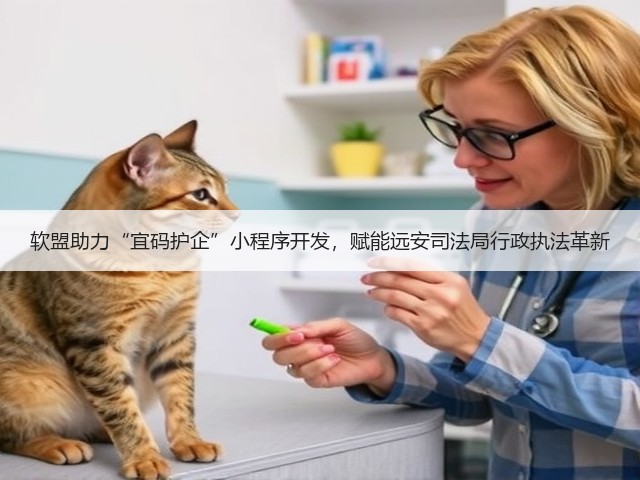 软盟助力“宜码护企”小程序开发,赋能远安司法局行政执法革新(图3) 软盟助力“宜码护企”小程序开发,赋能远安司法局行政执法革新(图3)