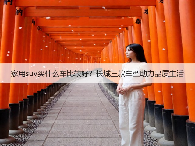 家用suv买什么车比较好?长城三款车型助力品质生活(图3) 家用suv买什么车比较好?长城三款车型助力品质生活(图3)