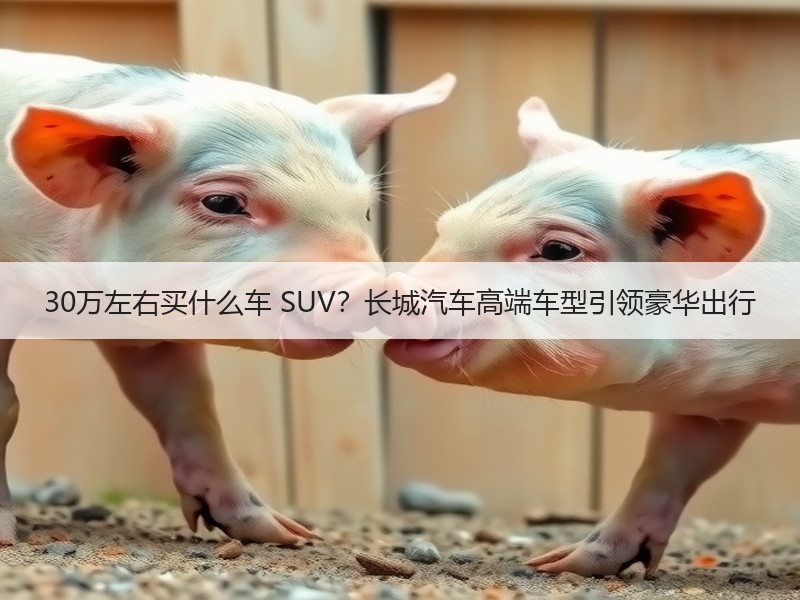 30万左右买什么车 SUV？长城汽车高端车型引领豪华出行