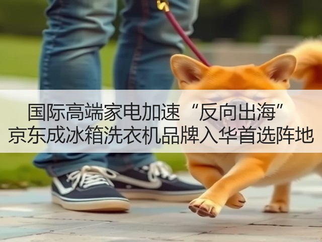 国际高端家电加速“反向出海” 京东成冰箱洗衣机品牌入华首选阵地(图2)