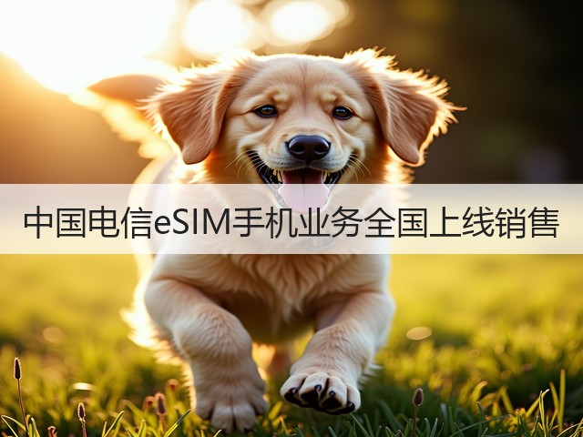 中国电信eSIM手机业务全国上线销售(图3)