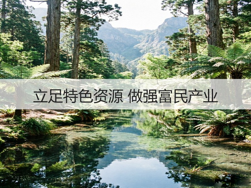 立足特色资源 做强富民产业