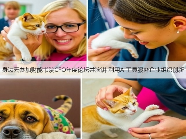 身边云参加财能书院CFO年度论坛并演讲 利用AI工具服务企业组织创新(图3)