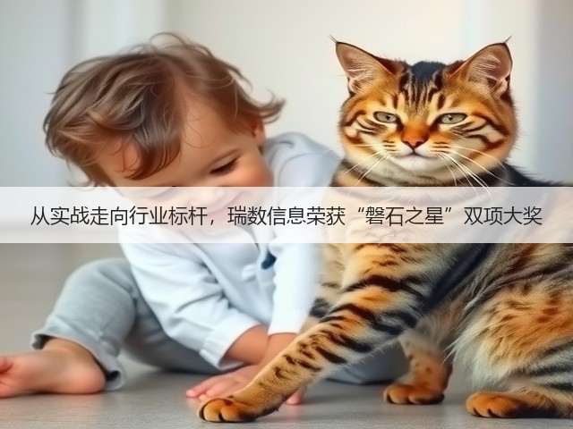 从实战走向行业标杆,瑞数信息荣获“磐石之星”双项大奖(图3) 从实战走向行业标杆,瑞数信息荣获“磐石之星”双项大奖(图3)