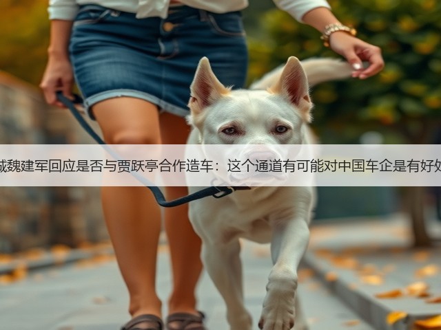 长城魏建军回应是否与贾跃亭合作造车：这个通道有可能对中国车企是有好处的(图2)