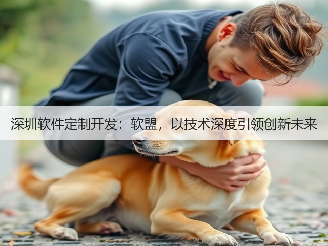 深圳软件定制开发:软盟,以技术深度引领创新未来(图3) 深圳软件定制开发:软盟,以技术深度引领创新未来(图3)