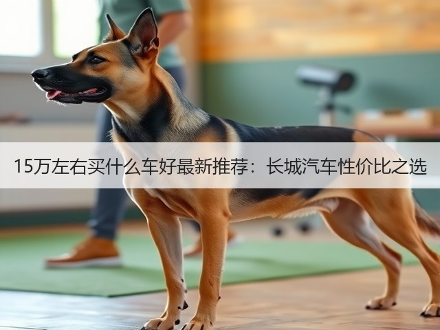 15万左右买什么车好最新推荐：长城汽车性价比之选(图3)
