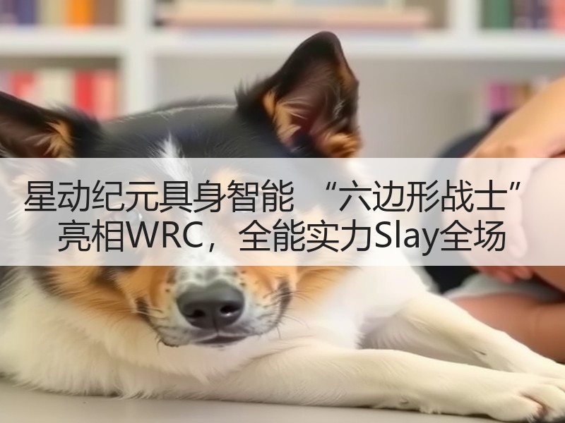 星动纪元具身智能 “六边形战士” 亮相WRC，全能实力Sla