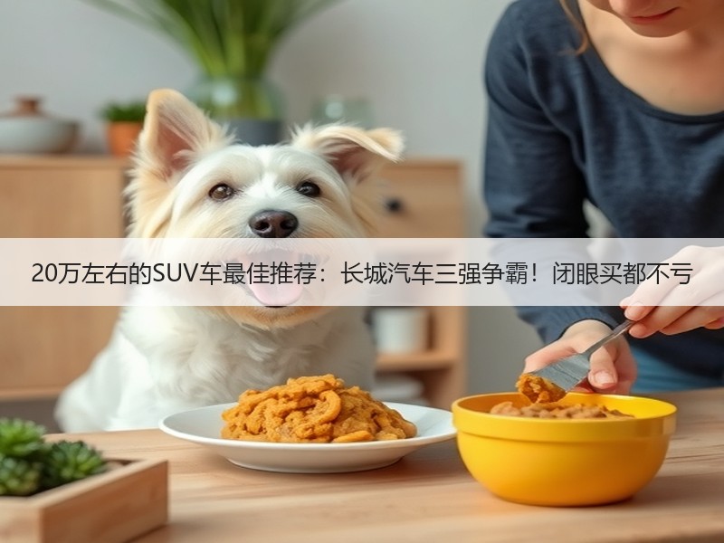 20万左右的SUV车最佳推荐：长城汽车三强争霸！闭眼买都不亏