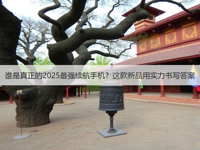 谁是真正的2025最强续航手机？这款新品用实力书写答案(图2)