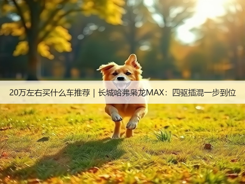 20万左右买什么车推荐｜长城哈弗枭龙MAX：四驱插混一步到位