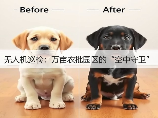 无人机巡检：万亩农批园区的“空中守卫”(图3)