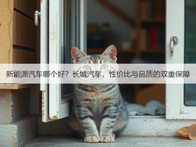 新能源汽车哪个好？长城汽车，性价比与品质的双重保障(图1)