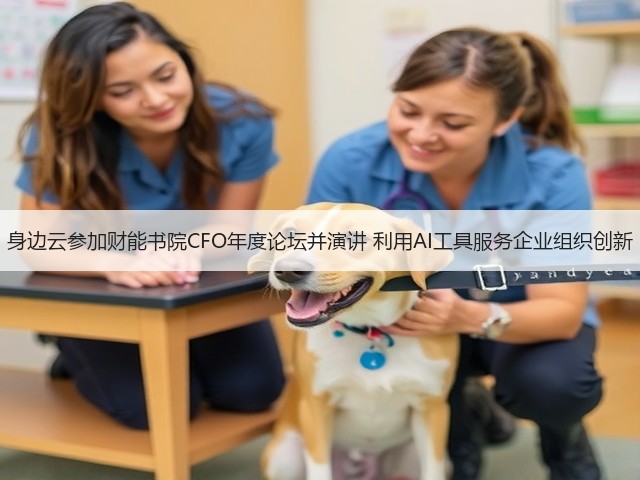 身边云参加财能书院CFO年度论坛并演讲 利用AI工具服务企业组织创新(图1)