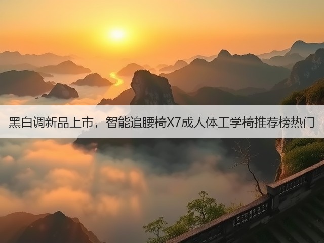 黑白调新品上市,智能追腰椅X7成人体工学椅推荐榜热门(图1) 黑白调新品上市,智能追腰椅X7成人体工学椅推荐榜热门(图1)