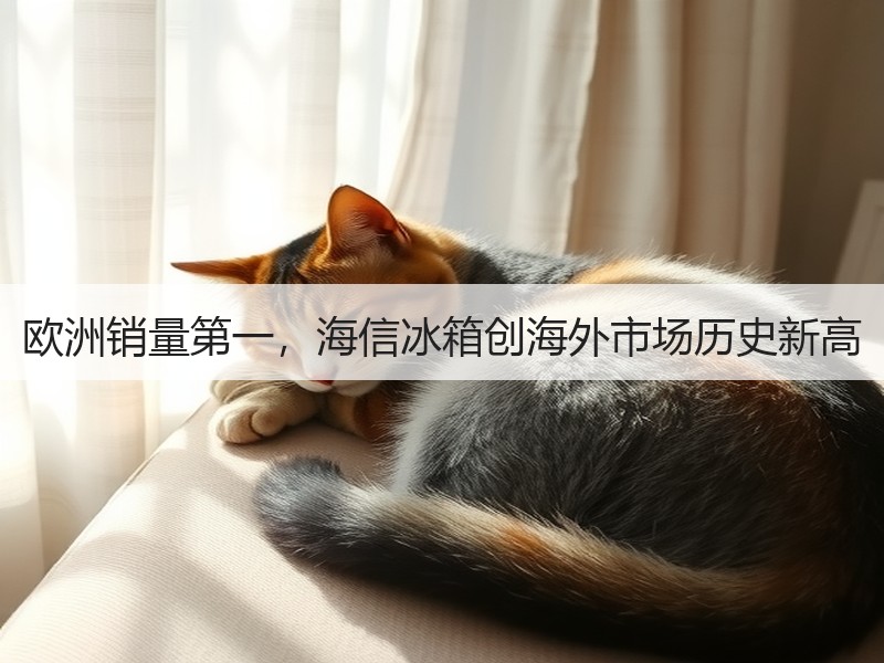 欧洲销量第一，海信冰箱创海外市场历史新高