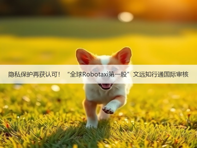 隐私保护再获认可！“全球Robotaxi第一股”文远知行通国际审核(图1)
