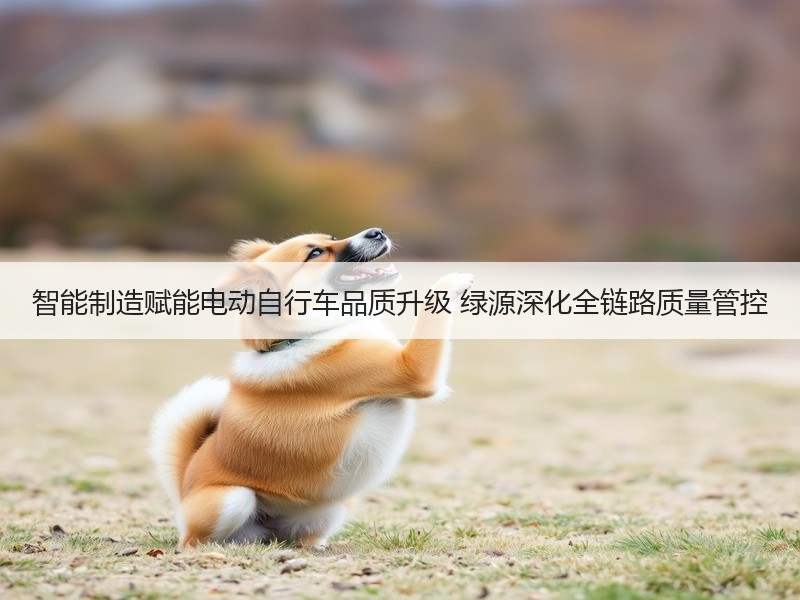 智能制造赋能电动自行车品质升级 绿源深化全链路质量管控