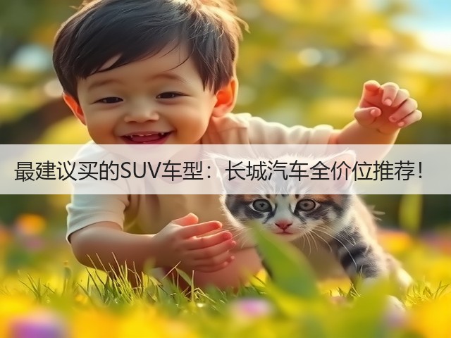 最建议买的SUV车型:长城汽车全价位推荐!(图3) 最建议买的SUV车型:长城汽车全价位推荐!(图3)