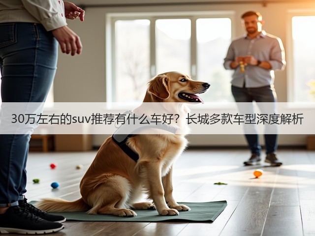 30万左右的suv推荐有什么车好?长城多款车型深度解析(图1) 30万左右的suv推荐有什么车好?长城多款车型深度解析(图1)